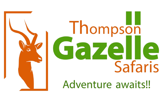 Thompsongazellesafaris