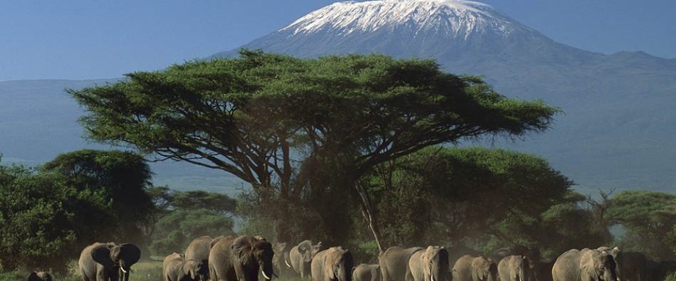 Amboseli nat park Amboseli nat park