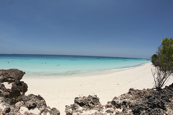 zanzibar zanzibar